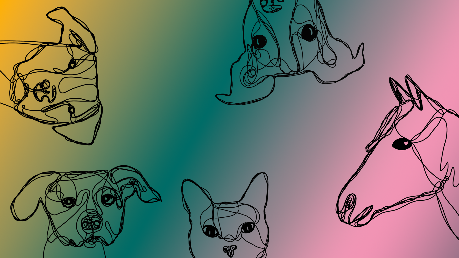 Produktseite_Headerbild